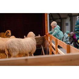 Familienstadtführung zur Weihnachtszeit - Wo wohnt das Christkind? - Eine weihnachtliche Familienführung durch Leutkirch in Leutkirch im Allgäu