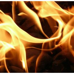 Shenzhen bedeutet Hölle in Wuppertal