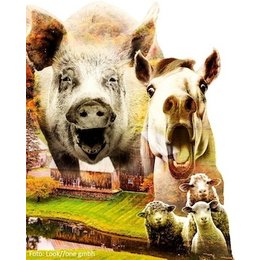 Farm der Tiere - Farm der Tiere in Barsinghausen