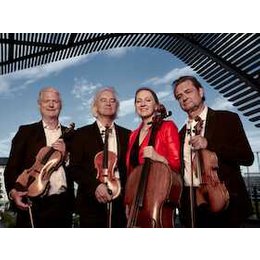 Modern String Quartet in Wendelstein