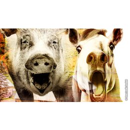 Farm der Tiere - Das Musical in Emden