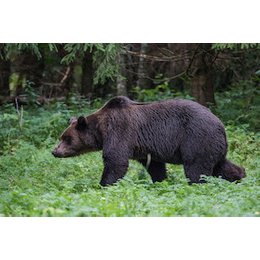 Externe Veranstaltungen (Vhs etc.) 2025-2026 - Magisches Baltikum – Menschen, Mythos, Mittsommer in Korbach