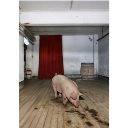 Der Theatermacher - Komödie von Thomas Bernhard in Warendorf