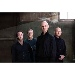 Rare Birds – Internationales Musikfestival 2025 in Potsdam