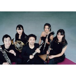 KLANGBRÜCKEN - Lichterspiel am Firmament in Dresden