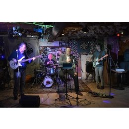 Suspekte Elemente - Die Musik von Element of Crime und mehr in Fürth