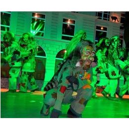 Narrenspiegel Bad Säckingen 2026 - Narrenspiegel am Samstag in Bad Säckingen