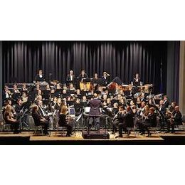 Musikverein Vaihingen: