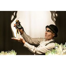 Das Lied der Grille in Langenau