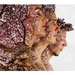 Heirs to the Wild - Poetic Indie in Freiburg im Breisgau