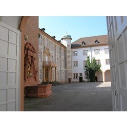 Museum 2025 - Schlabbe, Hirsch und