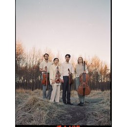 Novo Quartet - Streichquartett in Weinheim