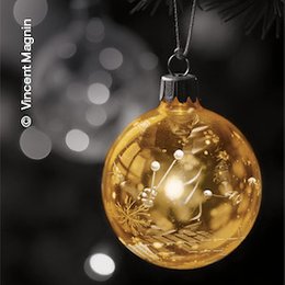 Abonnement 2025 / 2026 - Weihnachtsabonnement 2025 in Lindau