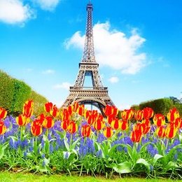 Musical-Menü 26 - Vive la France in Hofheim am Taunus