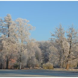 Führungen 2026 - Wanderung zum Jahresbeginn in Bad Bevensen