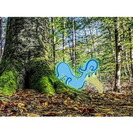 Elwetritsche Jagd - Rotwein Elwetritsche Jagd in Bad Dürkheim