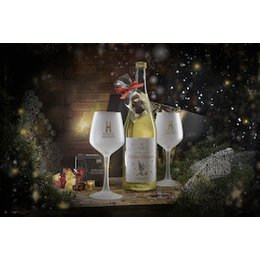 Glühwein-Tour mit Winter-Picknick - rebsortenreine Glühweine und kulinarische Überrraschungen in Radebeul