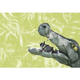 Der Billabongkönig in Nürnberg