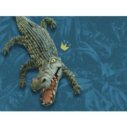 Workshops - Workshop „Krokokratie: Mitmachen mit Macht“ in Nürnberg