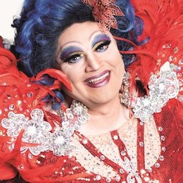 Die Regenbogenhummel Vikky präsentiert  - Die Regenbogenhummel: Gänseblümchen in Karlsruhe