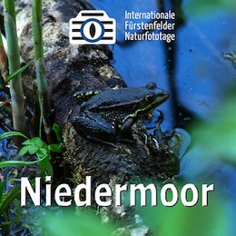 Workshops & Seminare - WS - Natur im Niedermoor in Fürstenfeldbruck