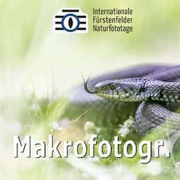 Workshops & Seminare - WS - Makro-Fotografie vor der Haustür in Fürstenfeldbruck