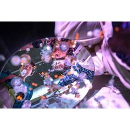 Festival Made in Potsdam - Ritournelles. Oder: um das Kreisen kreisen (3+) in Potsdam