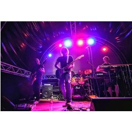 Pigs in Rock in Wetzlar