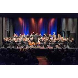 2026 Unterhaltung, Theater, Comedy, Dia - Neujahrskonzert - Wendland Sinfonieorchester in Bad Bevensen