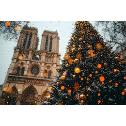 PARIS - Salzburg oder Weihnachten in Notre-Dame in Neugattersleben