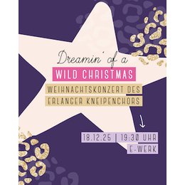 Erlanger Kneipenchor Weihnachtskonzert - Dreamin' of a wild Christmas in Erlangen