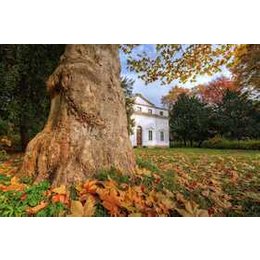 Auf den Spuren von Paul Klee - Auf den Spuren von Paul Klee in Dessau-Roßlau