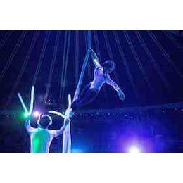 Winterzirkus 2026 - Metamorphosis (3+) in Potsdam