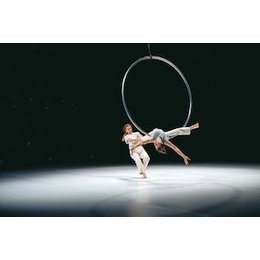 Winterzirkus 2026 - still.dependent in Potsdam