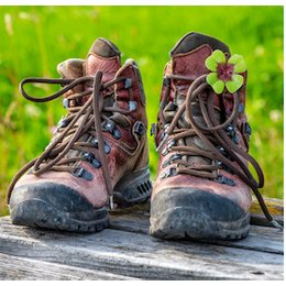 Glückswanderung - Singlewanderung mit Glücksmomenten in Grünberg