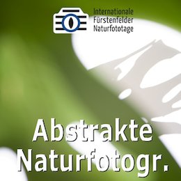 Workshops & Seminare - WS Abstrakte Naturfotografie in Fürstenfeldbruck