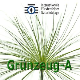 Workshops & Seminare - WS Faszination Grünzeug A in Fürstenfeldbruck