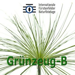 Workshops & Seminare - WS Faszination Grünzeug B in Fürstenfeldbruck