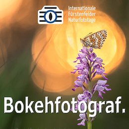 Workshops & Seminare - WS Bilder mit Bokeh in Fürstenfeldbruck