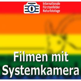 Workshops & Seminare - WS Filmen mit Systemkamera in Fürstenfeldbruck