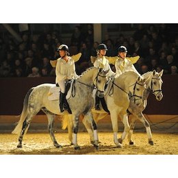 Neustädter Weihnachtsgala 2026 - Die märchenhafte Pferdeshow zum Fest! in Neustadt (Dosse)