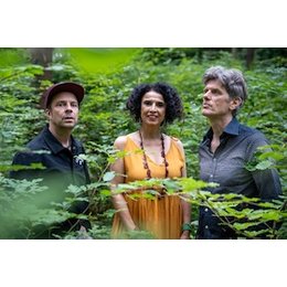 Paula Morelenbaums „Bossarenova Trio“ - Levitar in Lüneburg