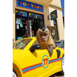 Kinderveranstaltungen Billstedt - Akiko - der fliegende Affe in Hamburg