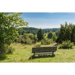 Traufgänge Scout Wanderungen - Alpenblick, Ochsenberg und die Herren von Wildentierberg in Albstadt-Ebingen