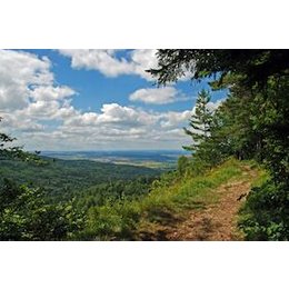 Traufgänge Scout Wanderungen - Herbstfarben rund ums ehemalige Hochmoor in Albstadt-Onstmettingen