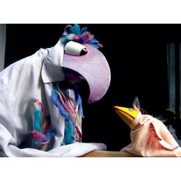 Kleiner Vogel, flieg - Ein Mutmach-Stück mit Figuren für Alle ab 3 in Marburg