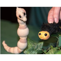 Schmeckerlinchen oder: das Raupenwunder (4+) in Osnabrück