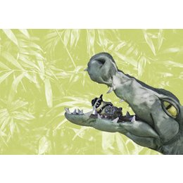 Der Billabongkönig in Nürnberg