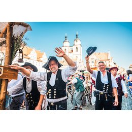 Luthers Hochzeit 2026 - 3 Tage Jubel, Freude und Spaß in Lutherstadt Wittenberg