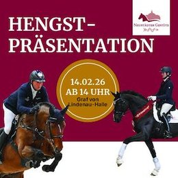 Große Hengstpräsentation 2026 - Die Deckhengste des Gestütes unter dem Sattel, vor dem Wagen und an der Hand. in Neustadt (Dosse)
